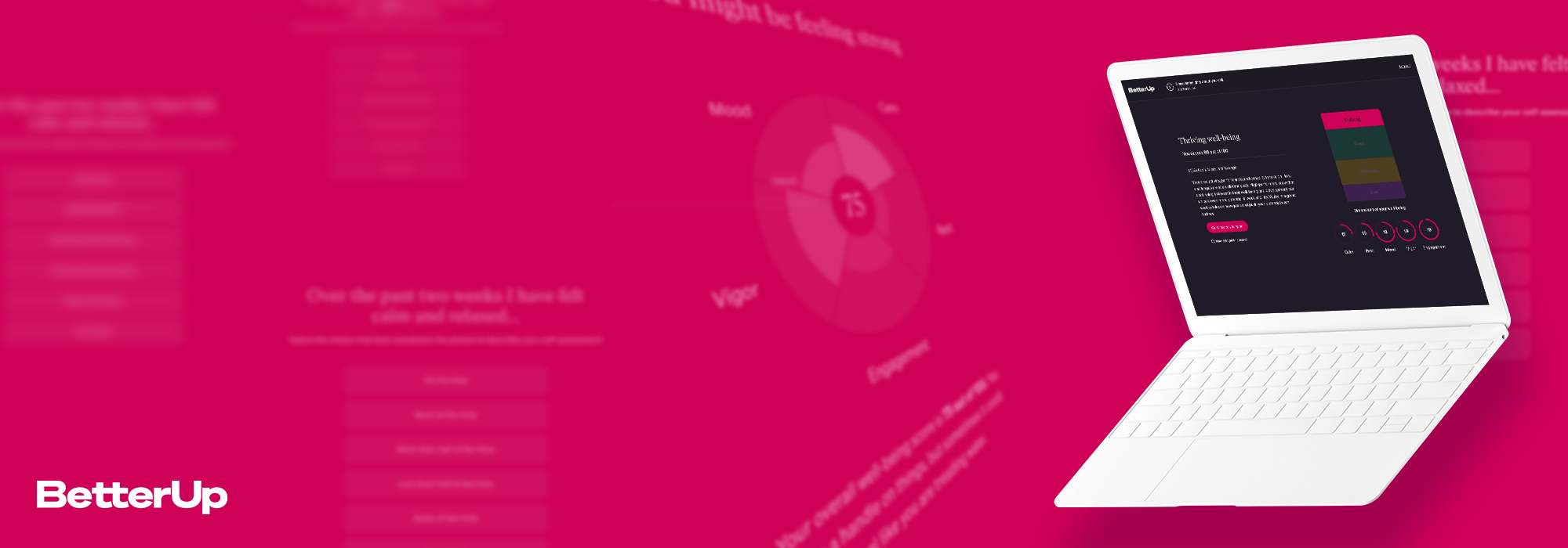  The goal of this project was to  introduce a well-being baseline assessment into the set up flow of the product  so that the users, their employers, and BetterUp as a company could see the well-being benefit that the Care product gives over time. 